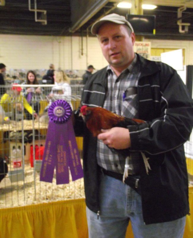 B-poultry-FS-1.jpg